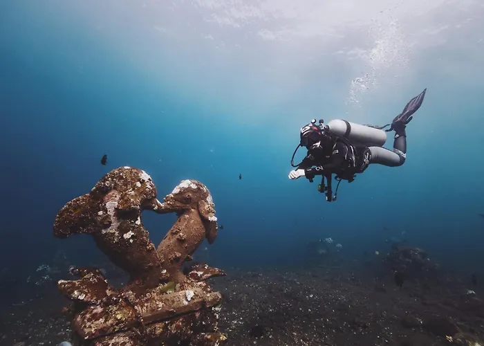 Melibe Dive Bali * 图兰奔