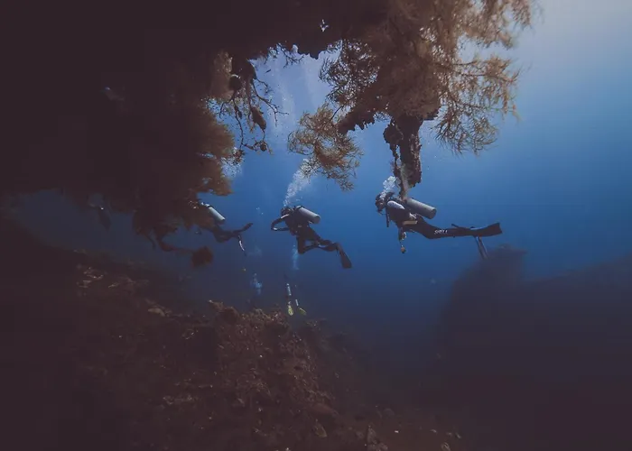 酒店 Melibe Dive Bali