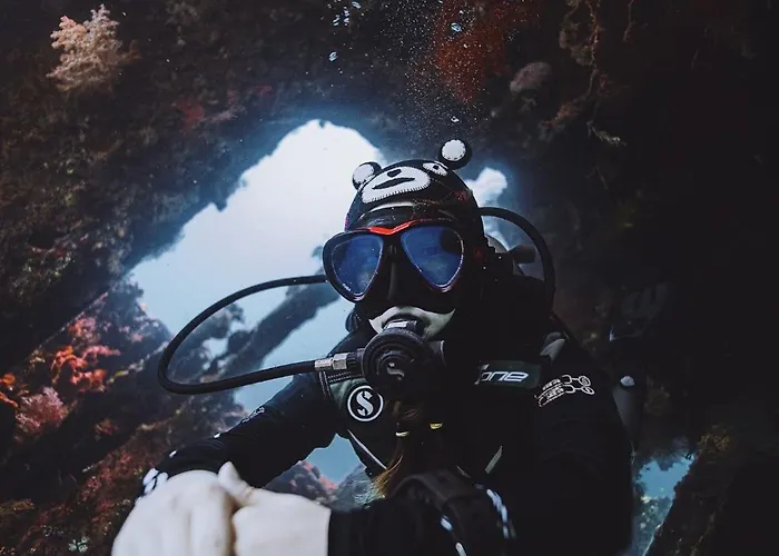 Melibe Dive Bali